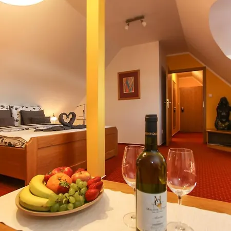 Lhotka Guest house