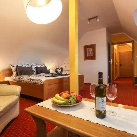 Guest house Lhotka 3*